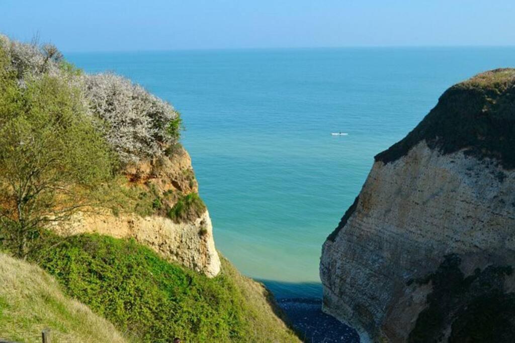 Superbe Propriete Bord De Mer - Le Clos Ricarda Sainte-Marguerite (Upper Normandy) Exterior foto